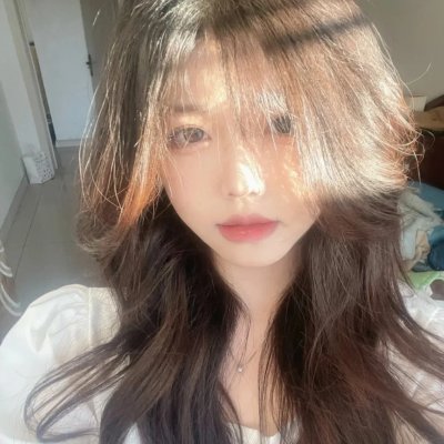 海龟们
