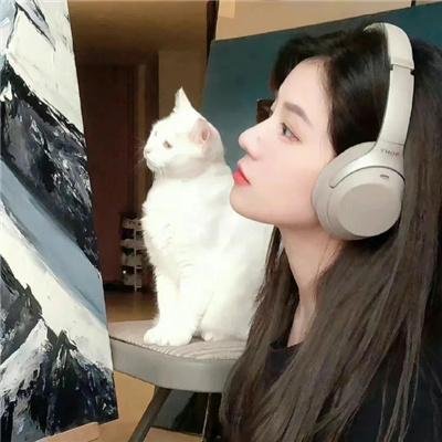 联邦调查局第八季
